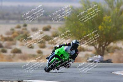 media/Apr-10-2022-SoCal Trackdays (Sun) [[f104b12566]]/Turn 5 Tree of Life (1040am)/